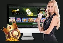 Step-by-step guide to joining a bingo room on spin ph mobile